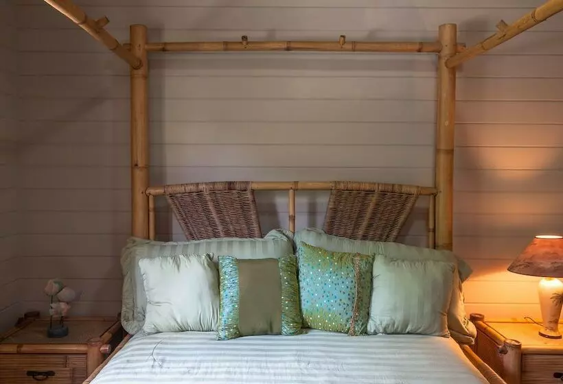 پانسیون Springwater Resorts