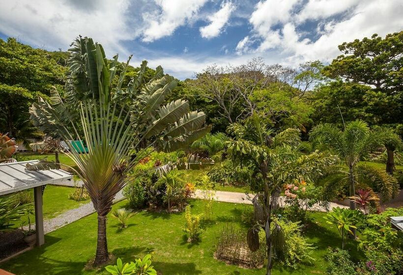 پانسیون Springwater Resorts