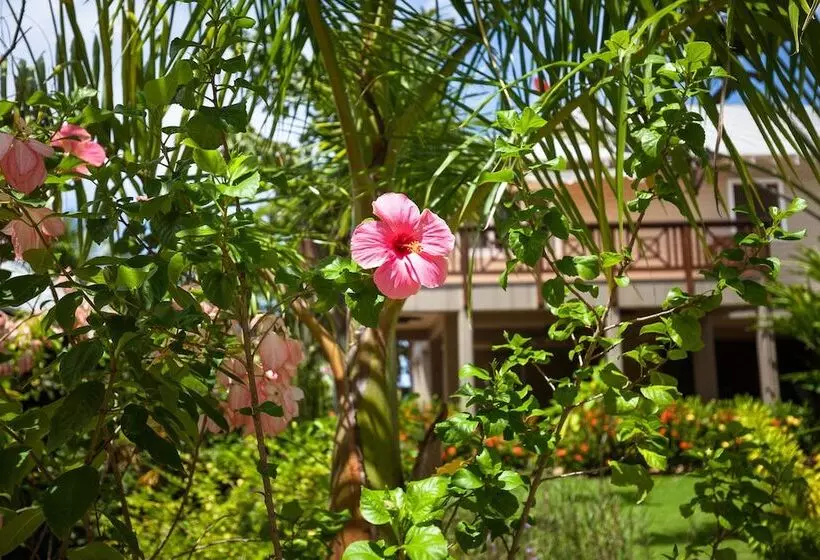 پانسیون Springwater Resorts