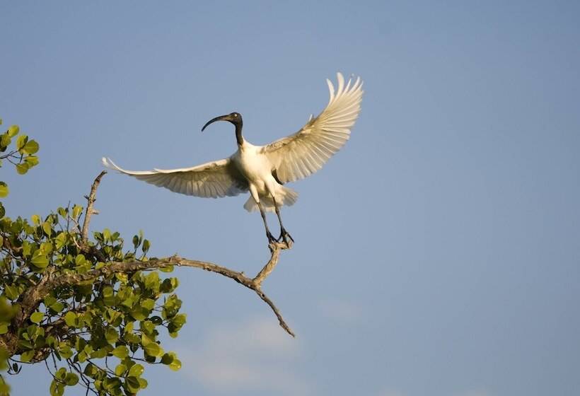 هتل Anjajavy Le Lodge Relais&châteaux
