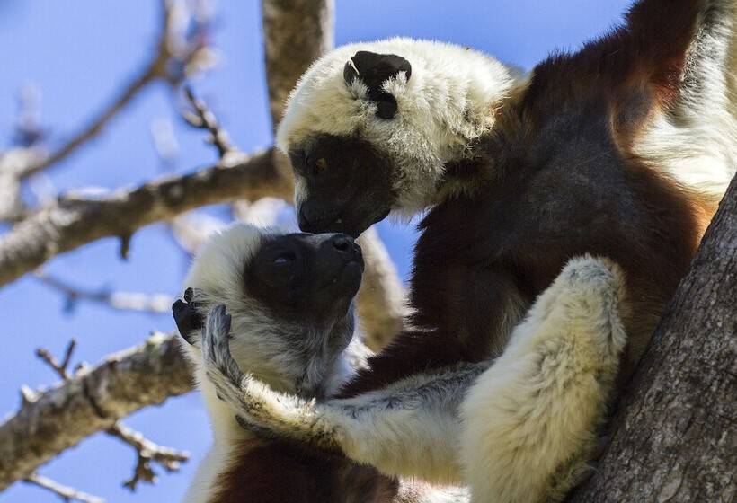 هتل Anjajavy Le Lodge Relais&châteaux