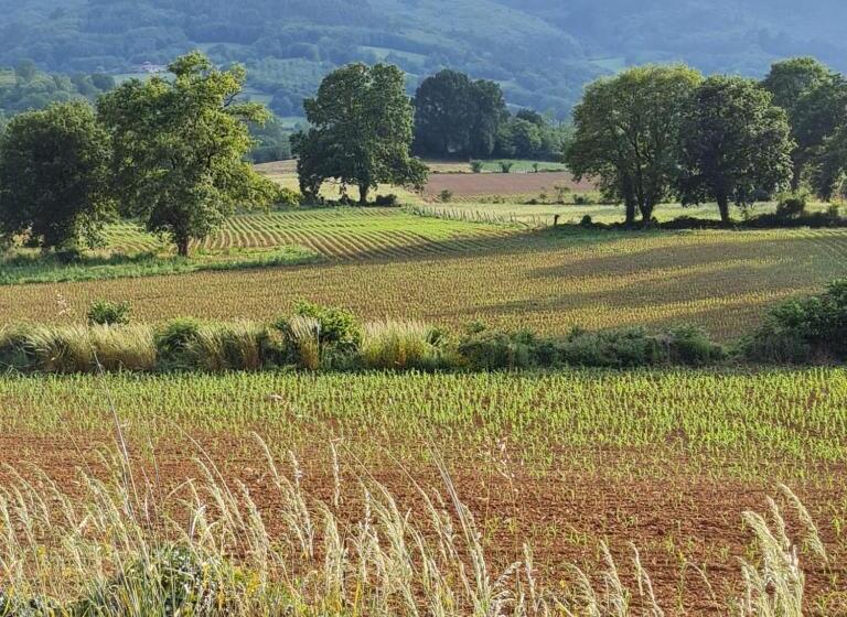 ユースホステル La Figal De Xugabolos, Salas