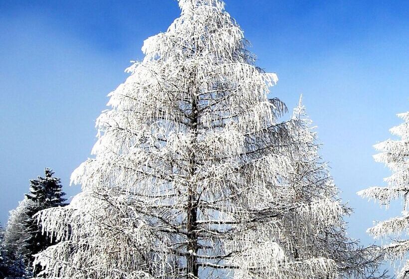 Alpengasthof Krische