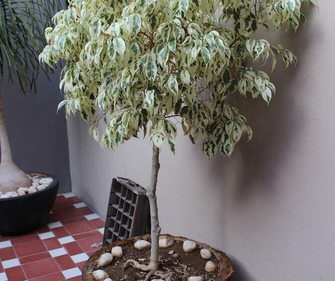 Entre Patios Hotel Boutique