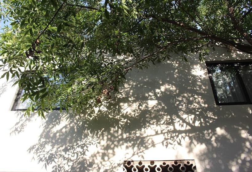 Entre Patios Hotel Boutique