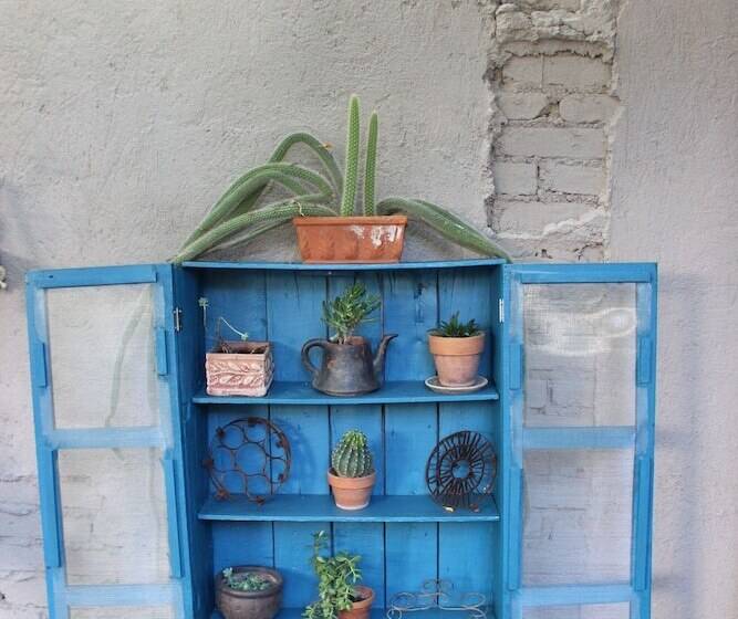 Entre Patios Hotel Boutique