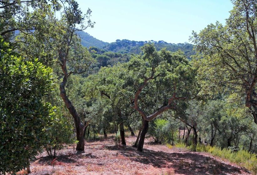 Halma   Nature & Sea