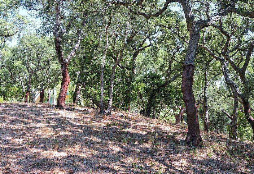 Halma   Nature & Sea