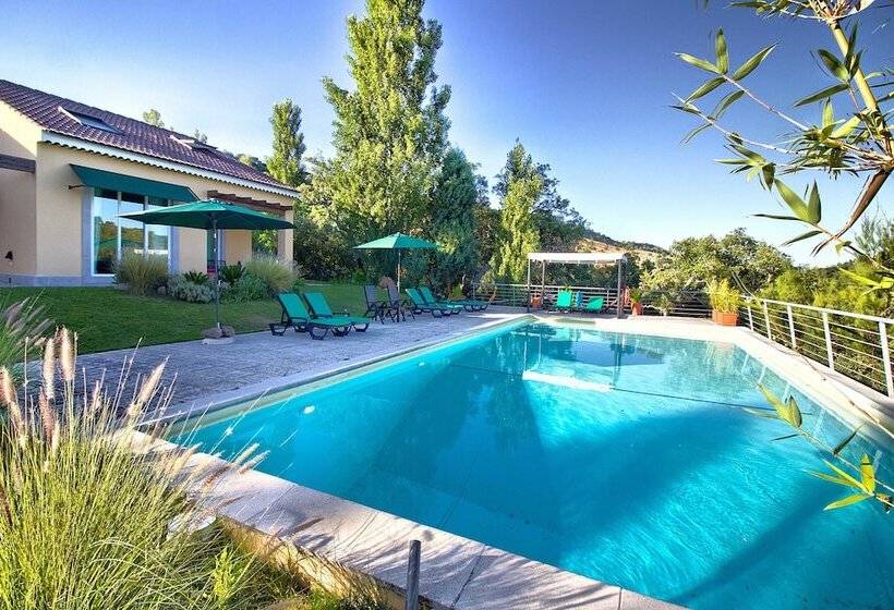 Halma   Nature & Sea