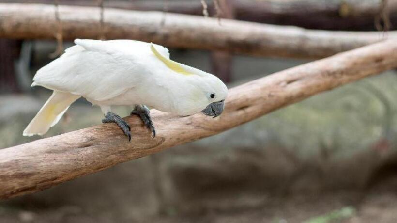 Hotel Dianne Gardens