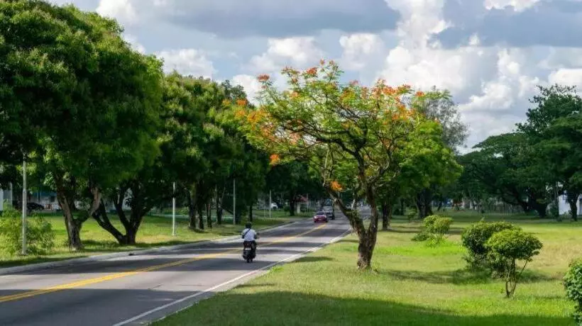 ホテル Dianne Gardens