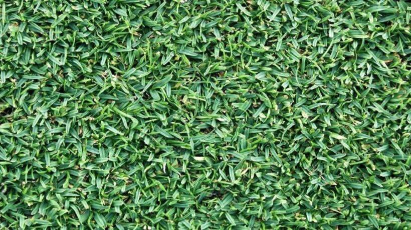 Отель Dianne Gardens