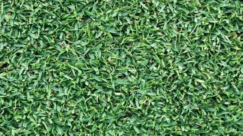 ホテル Dianne Gardens