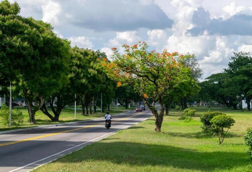 Отель Dianne Gardens