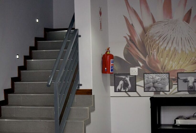 Отель Yalla Yalla Boutique