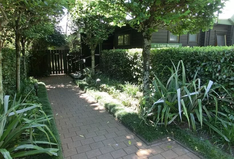 酒店 Tongariro Lodge