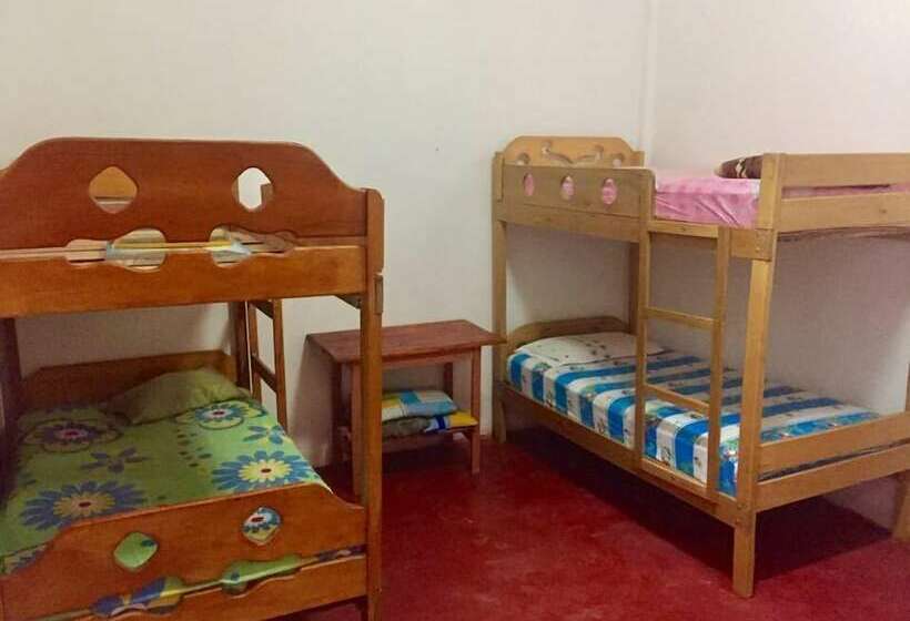 Weills Amazon Backapcker   Hostel