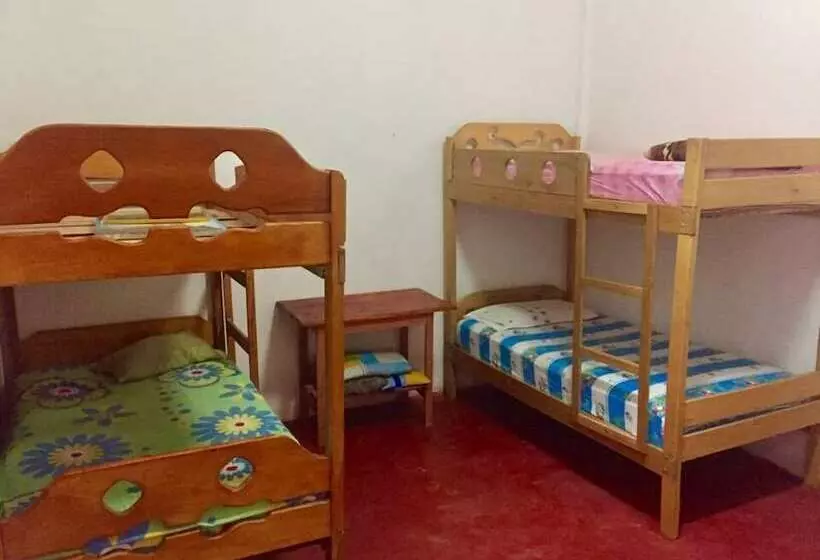 Weills Amazon Backapcker   Hostel