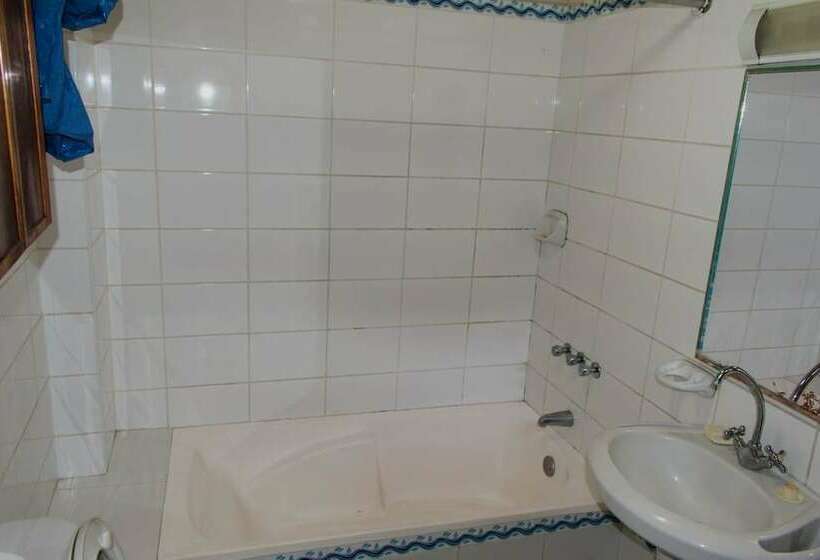 Weills Amazon Backapcker   Hostel