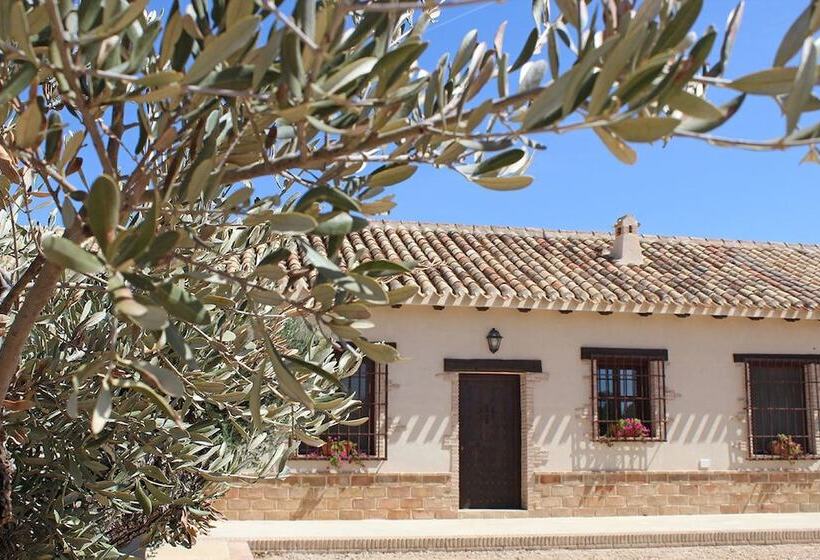 مبيت وإفطار Cortijo De Trifillas