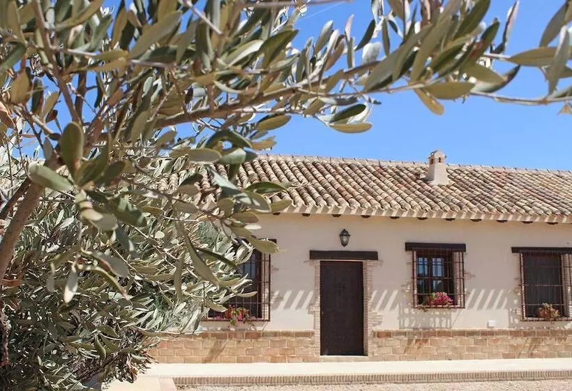 Aamiaismajoitus (B&B) Cortijo De Trifillas