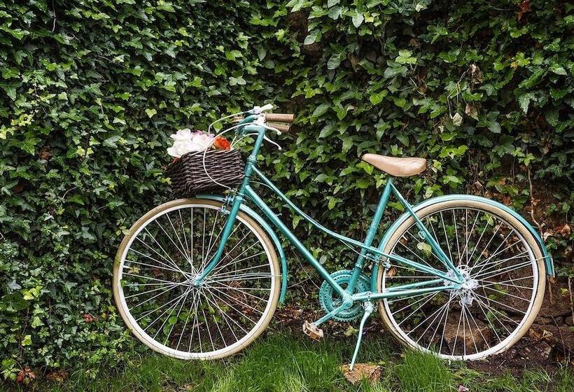 تختخواب و صبحانه Ecocasa Lema Ii