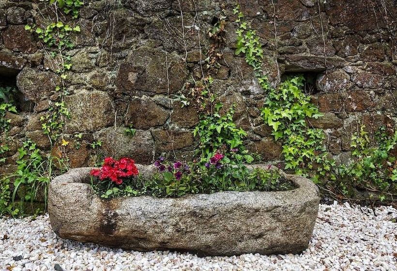 تختخواب و صبحانه Ecocasa Lema Ii