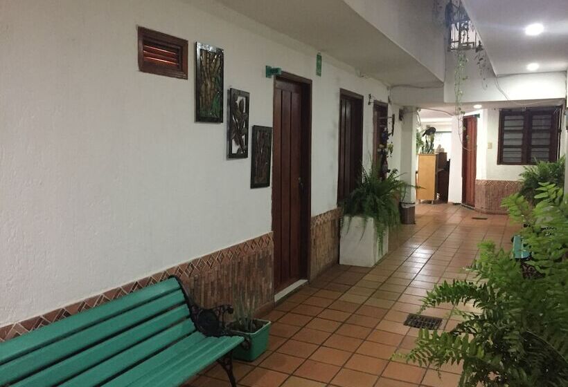 هتل Bacano Hostel