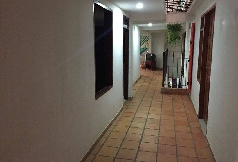 هتل Bacano Hostel