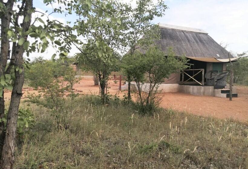 Hotel Buffalo Tented Lodge