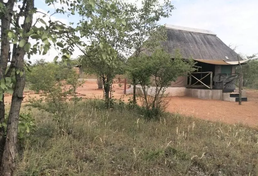 ホテル Buffalo Tented Lodge