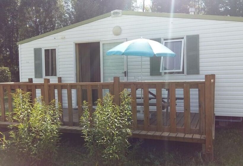 Отель Camping Des Platanes