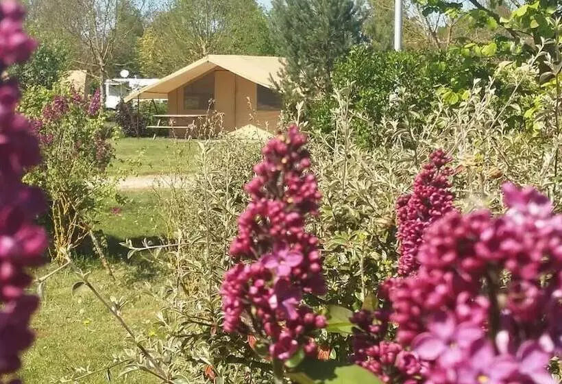 Hotelli Camping Des Platanes