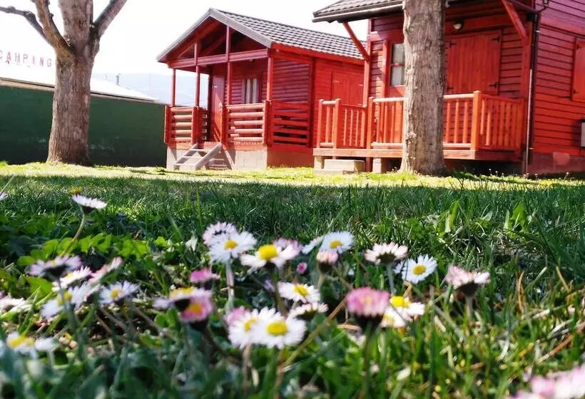 Hotelli Camping Gran Sol