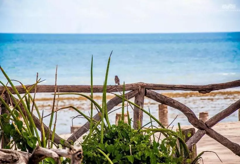 ホテル Na Beira Do Mar Pousada