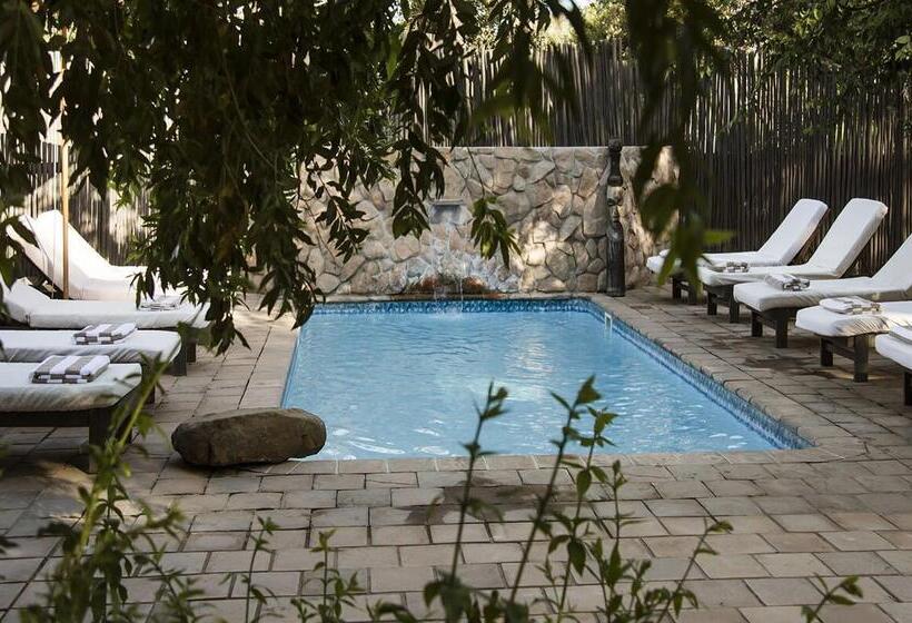 酒店 Simbavati River Lodge