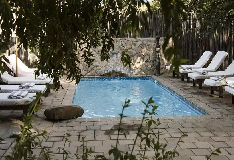 Hotelli Simbavati River Lodge