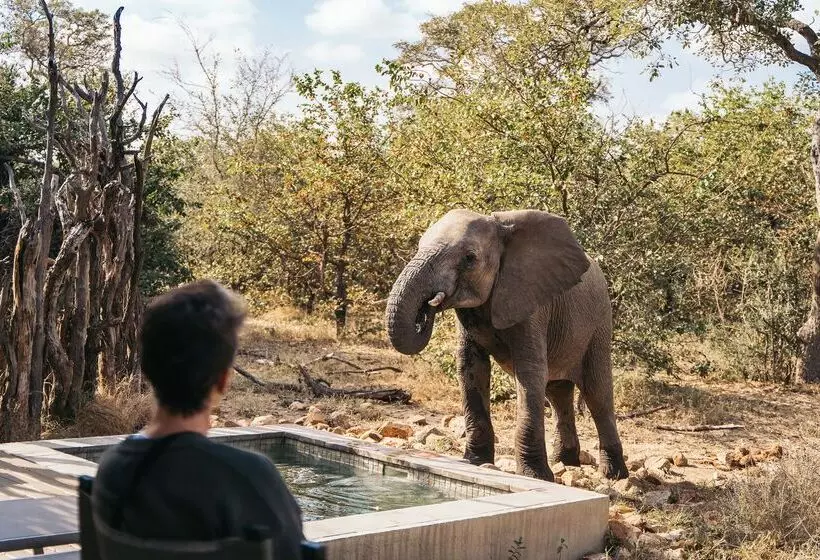 Hotelli Simbavati River Lodge