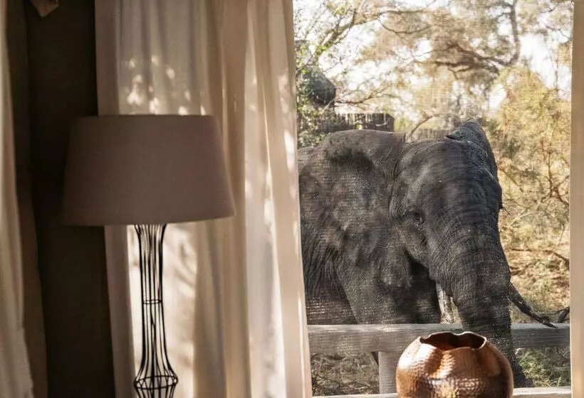 Hotelli Simbavati River Lodge