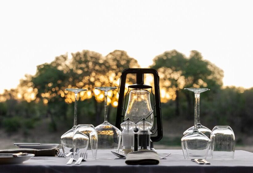 酒店 Simbavati River Lodge