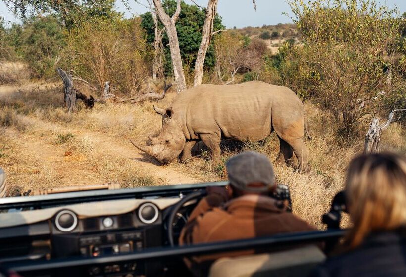 酒店 Simbavati River Lodge