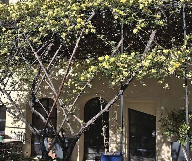 بنسيون Le Vieux Logis Chambres D Hotes