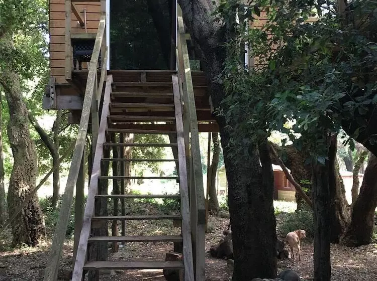 Majatalo Les Milles Et Une Nuits