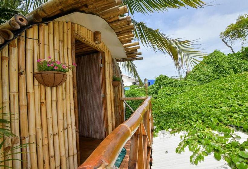 پانسیون Posada Amaripucci