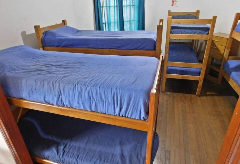 Puerto Rico Hostel & Bar