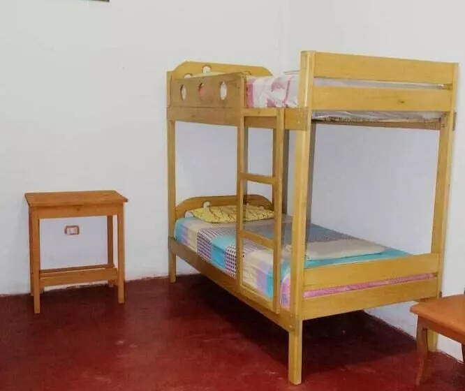 Weills Amazon Backapcker   Hostel