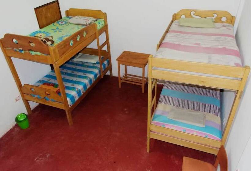 Weills Amazon Backapcker   Hostel