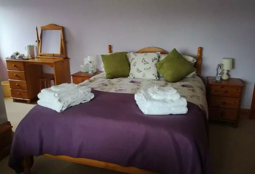 Aamiaismajoitus (B&B) Ty Newydd