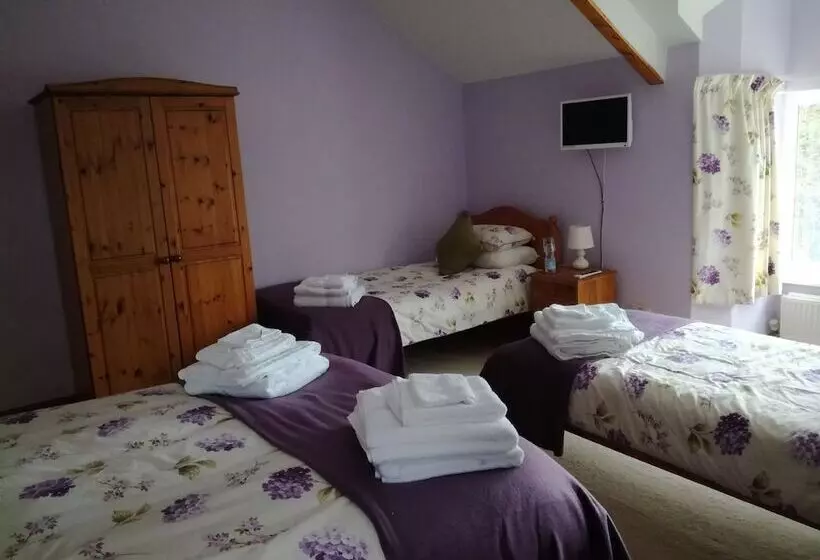 Aamiaismajoitus (B&B) Ty Newydd