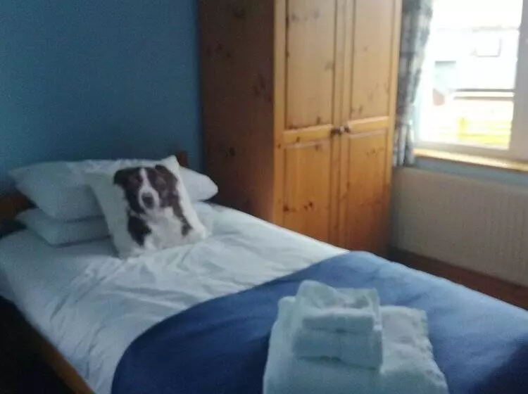 Aamiaismajoitus (B&B) Ty Newydd